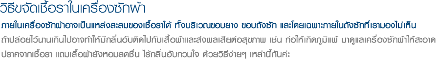 วิธีขจัดเชื้อราในเครื่องซักผ้า ภายในเครื่องซักผ้าอาจเป็นแหล่งสะสมของเชื้อราได้ ทั้งบริเวณขอบยาง ขอบถังซัก และโดยเฉพาะภายในถังซักที่เรามองไม่เห็น
ถ้าปล่อยไว้นานเกินไปอาจทำให้มีกลิ่นอับติดไปกับเสื้อผ้าและส่งผลเสียต่อสุขภาพ เช่น ก่อให้เกิดภูมิแพ้ มาดูแลเครื่องซักผ้าให้สะอาด
ปราศจากเชื้อรา แถมเสื้อผ้ายังหอมสดชื่น ไร้กลิ่นอับกวนใจ ด้วยวิธีง่ายๆ เหล่านี้กันค่ะ